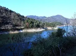 金年会官方在线入口-焈劯H?[g_??芎?2$鏖2蠣jbC石雿6u沊?!鐽的简单介绍