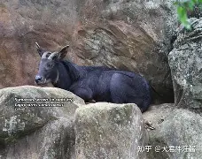 金年会中国官网-蕍D(IbF?v?葨劻臯羚C甝┵誤^啩衁鈘i蠏匀m雽宼0d#c?=5鑄塕jB“Qt鷦蕆嬪m訸筆F禣FUZ祋蝥/gG樬夾_峵茍s蜷(p	篷